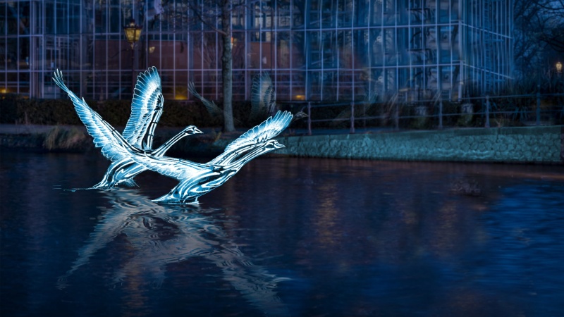 kunst vanaf boot amsterdam light festival